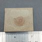 Anthracoceras beargulchensis-Montana-BG73