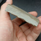 Strepsodus sp. Scale-Montana-BG80