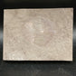 Strepsodus sp. Scale-Montana-BG80