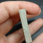 Anthracoceras beargulchensis-Montana-BG73