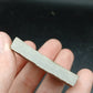 Strepsodus sp. Scale-Montana-BG79