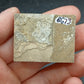 Anthracoceras beargulchensis-Montana-BG73