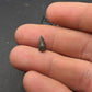 Thescelosaurus Tooth-Montana 02
