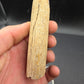 Partial Triceratops Rib on Stand-Montana 02
