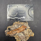 Pterosaur Bone-Texas