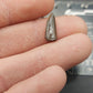 Paronychodon sp. Tooth-Montana