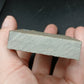 Strepsodus sp. Scale-Montana-BG80