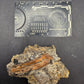 Pterosaur Bone-Texas
