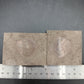Strepsodus sp. Scale-Montana-BG80