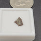 Maiasaur Eggshell-Montana