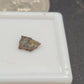 Maiasaur Eggshell-Montana