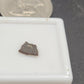 Maiasaur Eggshell-Montana